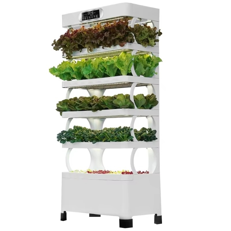Automatyczny system hydroponic – Home Automation Diy recenzja i cena