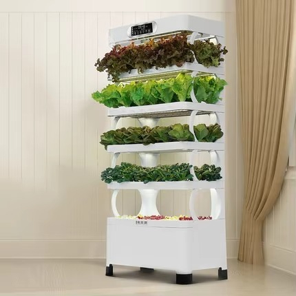 Automatyczny system hydroponic – Home Automation Diy recenzja i cena